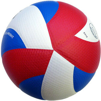 Gala Pro-line 5171S10 Volleybal