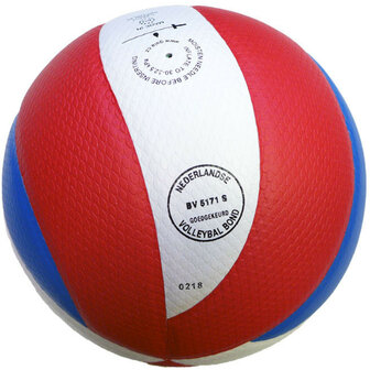 Gala Pro-line 5171S10 Volleybal